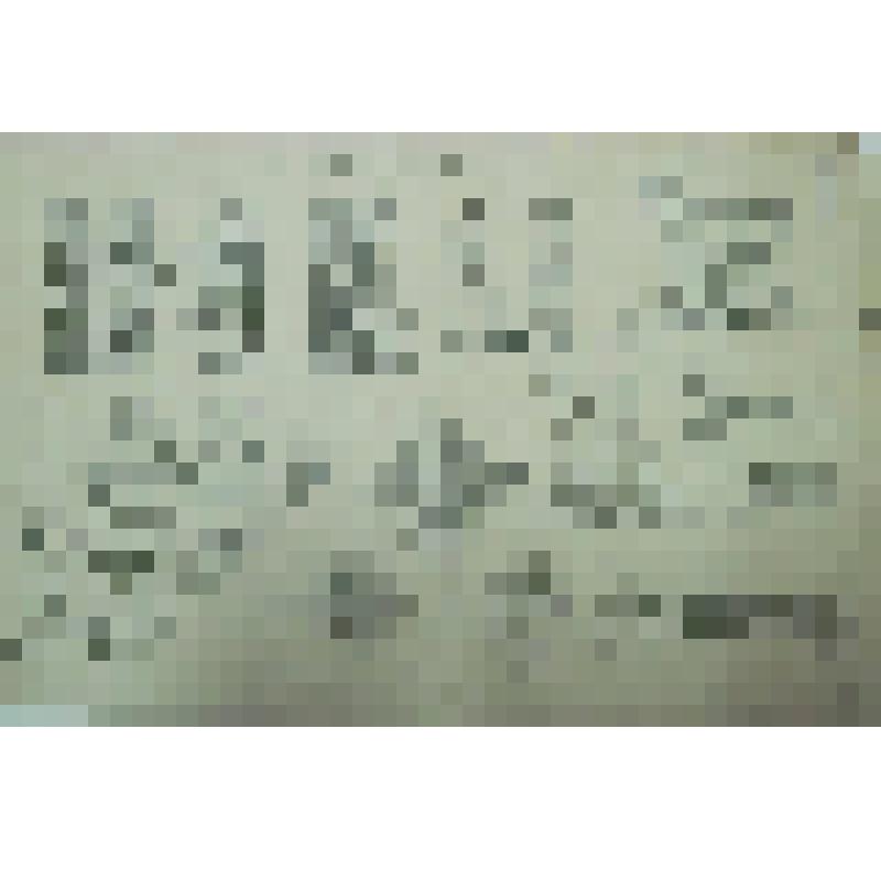 Орнамент.Прорисовка инициалов, виньеток и фрагментов декора. Рисунок