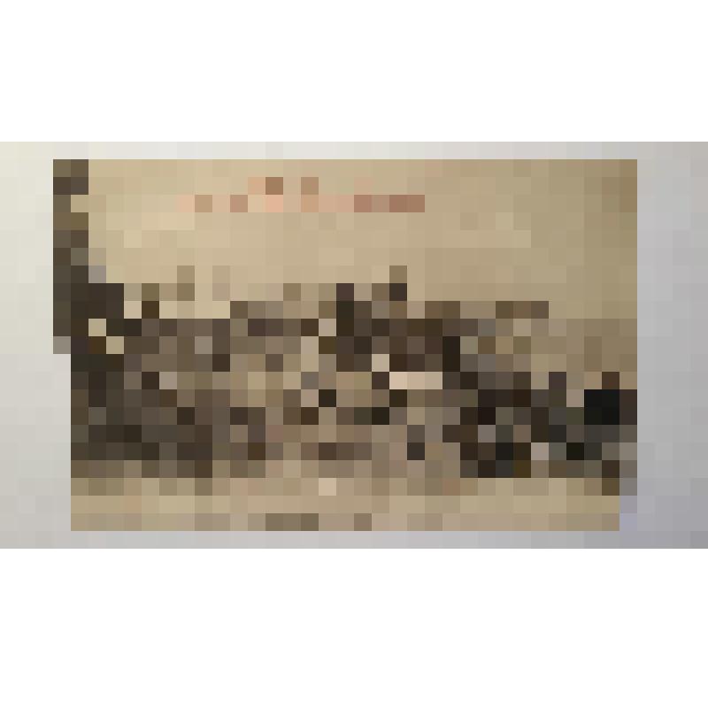 Украина, г. Киев. Подол. Берег Днепра. Общий вид. Фототипия Шерер, Набгольц и Ко, Москва