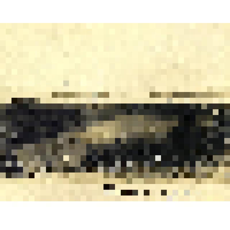 Фотоотпечаток. Озеро Кончозеро. Карелы