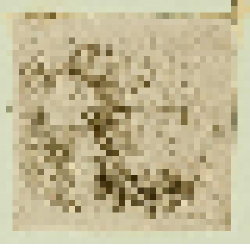 Офорт. Спящая мать с младенцем