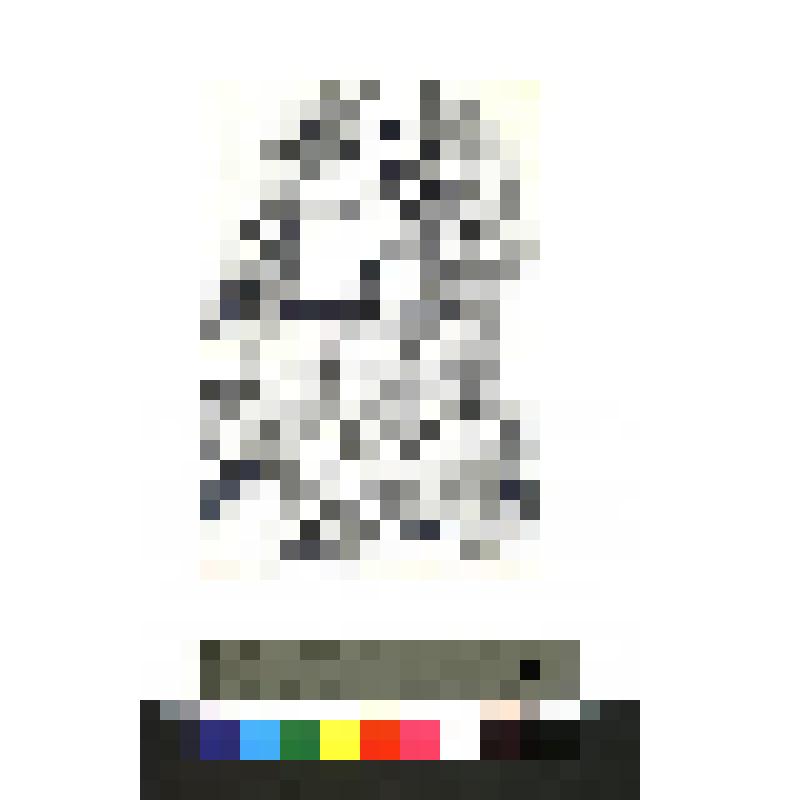 коллекция графики Лагодича В. Ф. Графическая работа "Восторг хмельной"