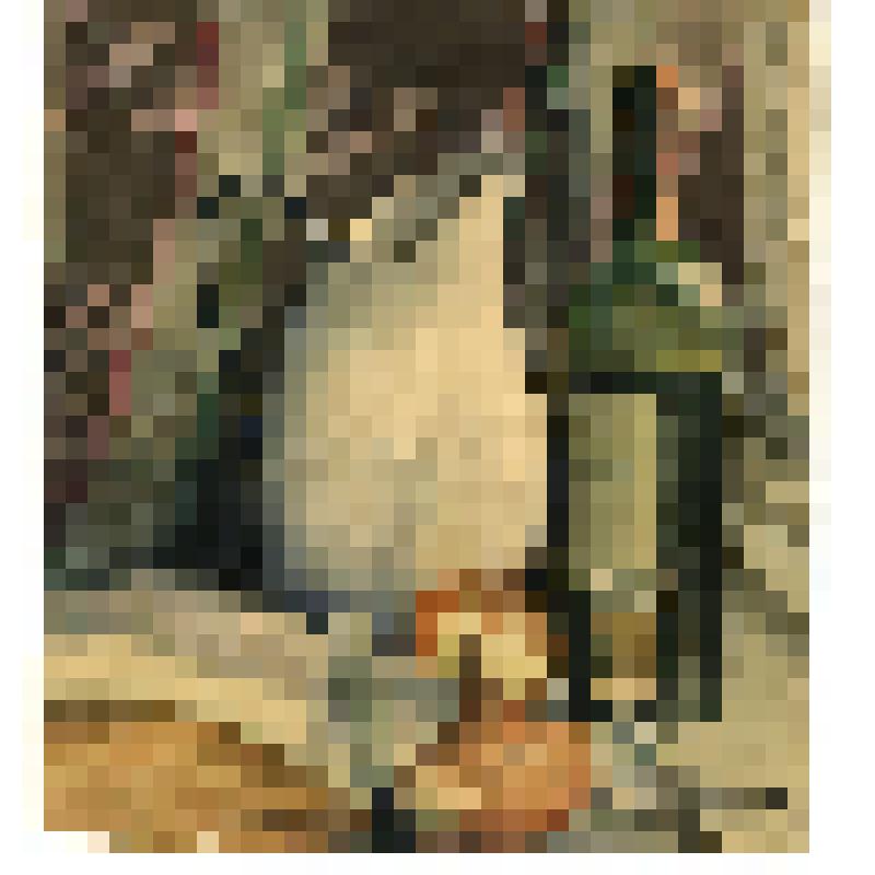 Акварель «Натюрморт»