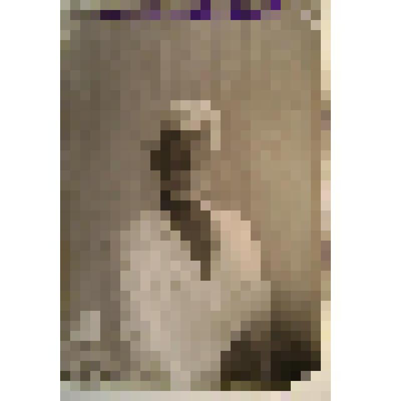 Негатив. Портрет погрудный мужчины с усами