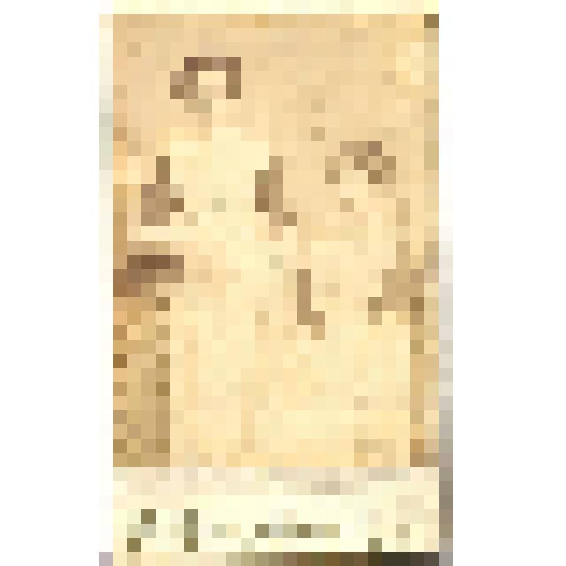 Фотография сепия. Загорская Александра с неизвестной девушкой, Фотография Е.А.Гончарова. Рязань