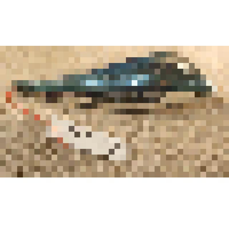 Игрушка елочная «Дельфин», из коллекции елочных игрушек и украшений