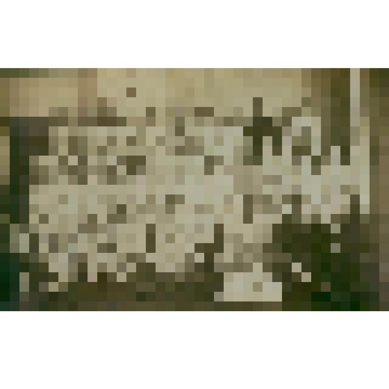 Фотография. Гуткины А.Б и Ф.Б. с медперсоналом и ранеными госпиталя г.Саратова