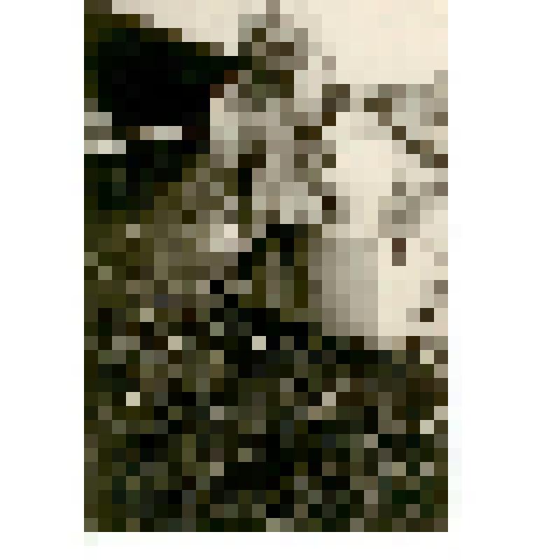 Фотография. Ролдугина Аля на железнодорожной станции Ртищево Саратовской области