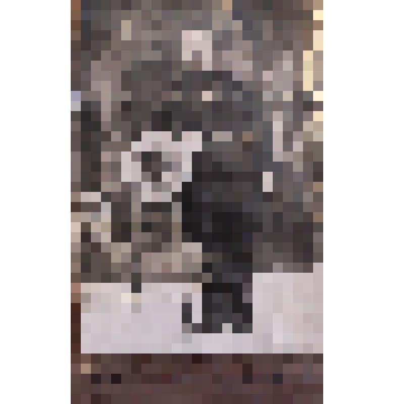 Фотография.Солдат рабоче -  крестьянской Красной Армии