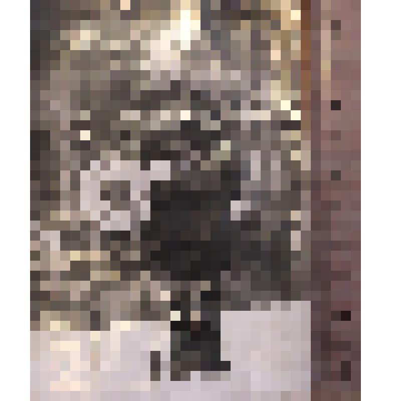 Фотография.Солдат рабоче -  крестьянской Красной Армии