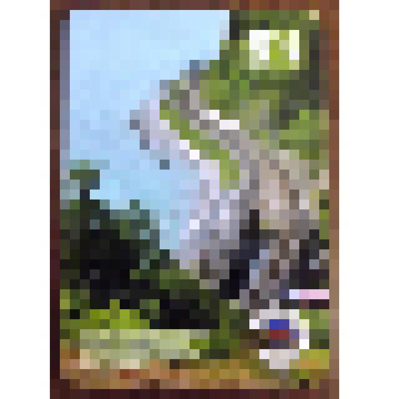 Календарь карманный
«Сочи 2014»