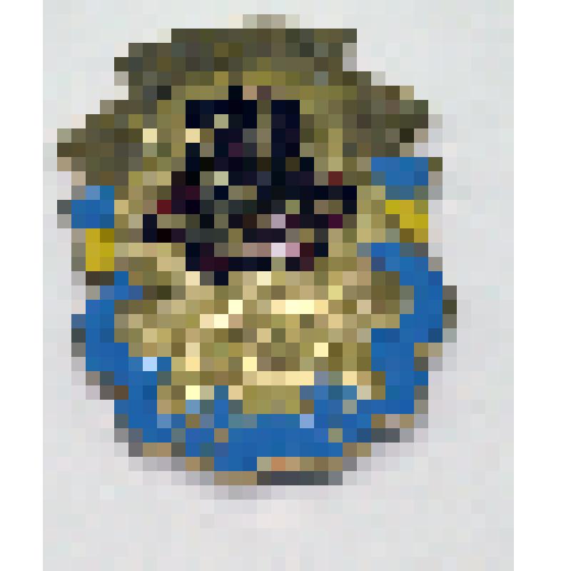 Знак памятный. 50 лет Освобождения Украины. Курылёва Н.И, ветерана Великой Отечественной войны