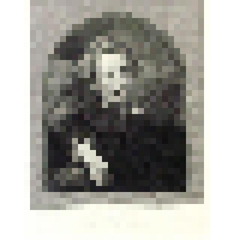 Портрет К.П. Брюллова