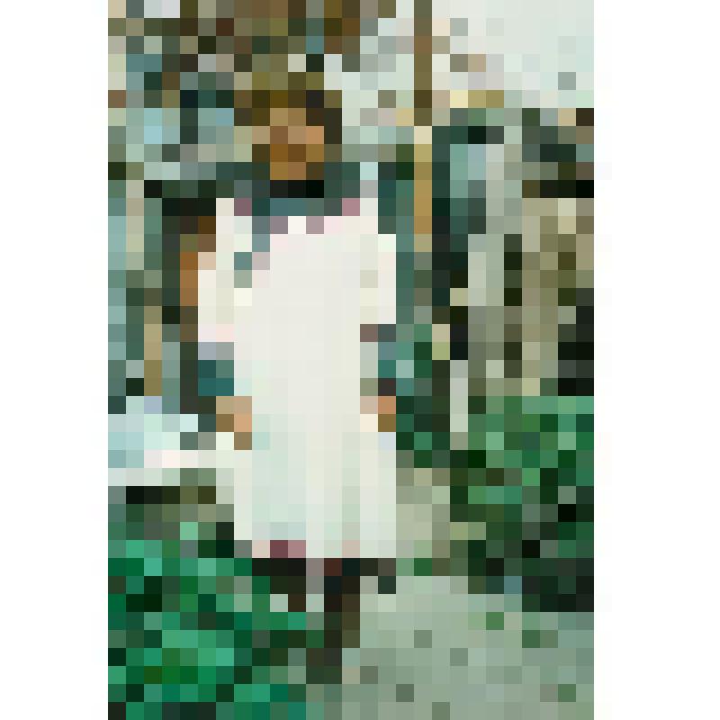 Фотография. Хейн В. Е
