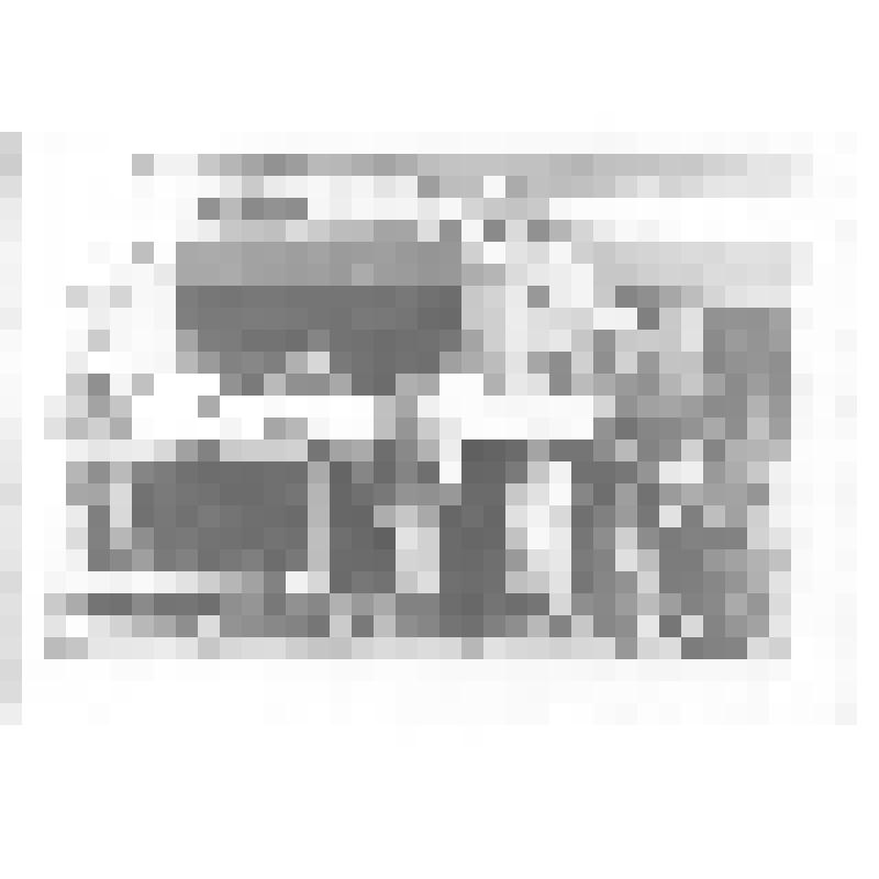 Фотография. Гости из Японии на крыльце здания редакции областной детской газеты "Остров сокровищ"