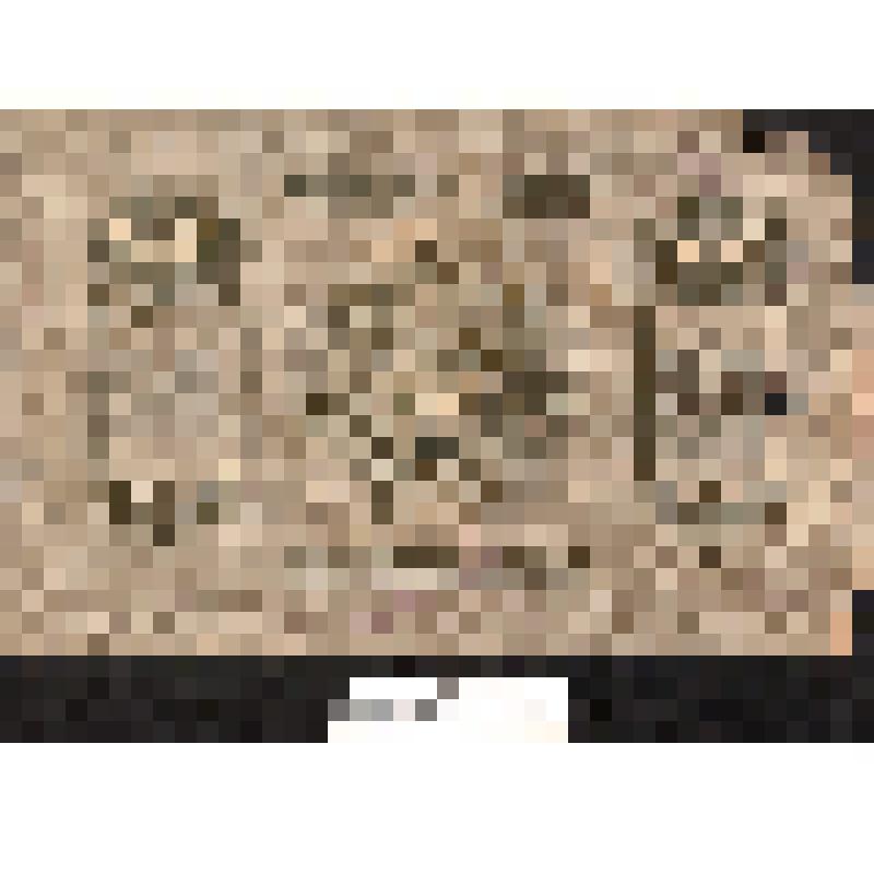 Денежный знак "5 000 рублей". Грузинская Демократическая республика