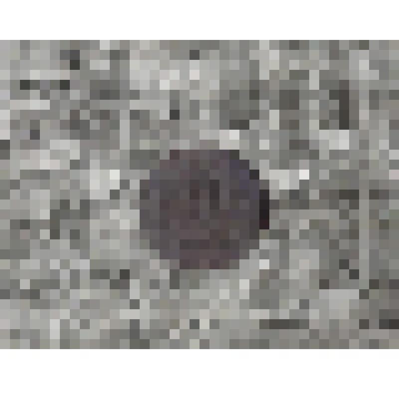 Монета. Двадцать копеек