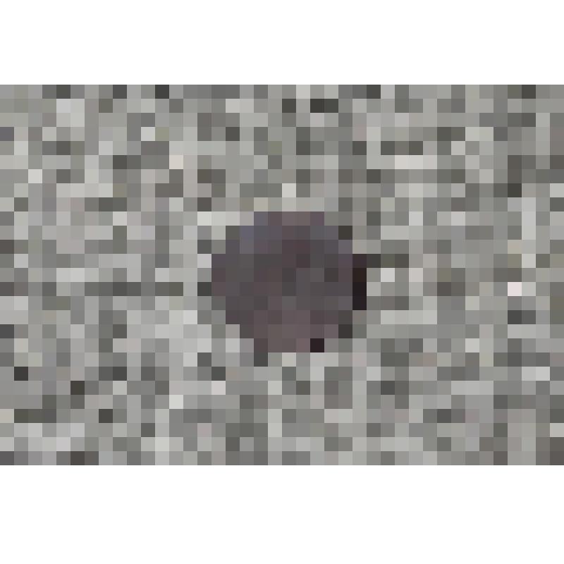 Монета. Двадцать копеек