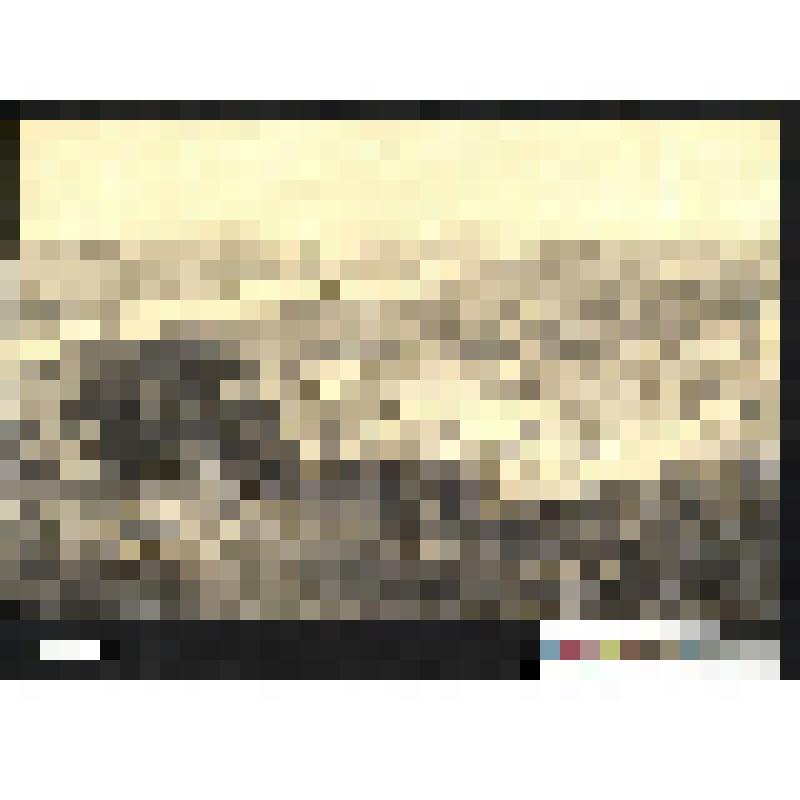 Вид Фаланстера - проект, сделанный по системе Фурье