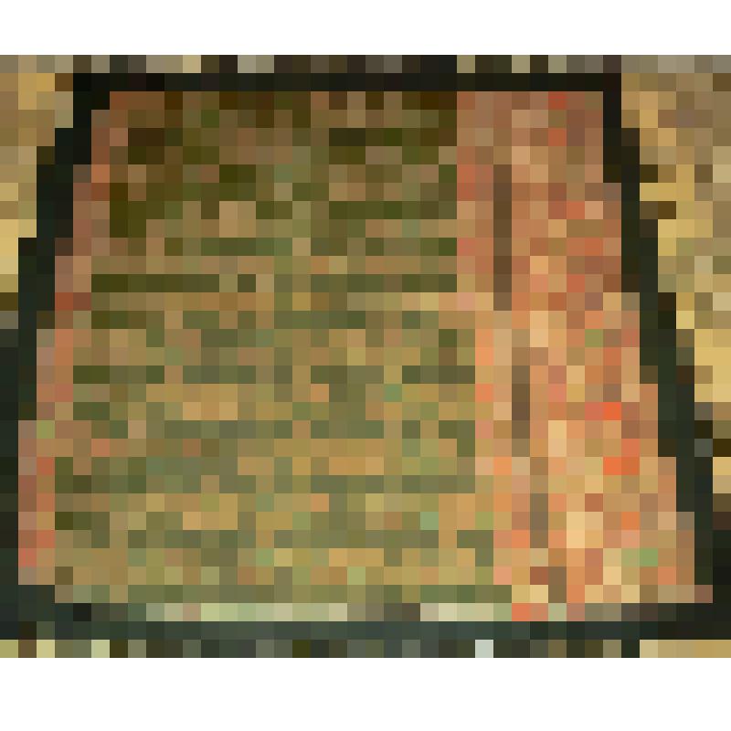 Шаль "Золотой улей"