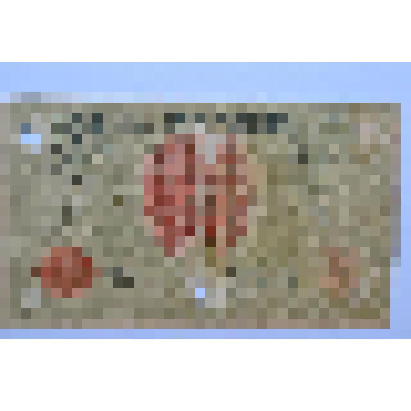 Бумажный денежный знак. Знак Государственного Казначейства Центральной Рады Народной Украинской Республики 50 карбованцев