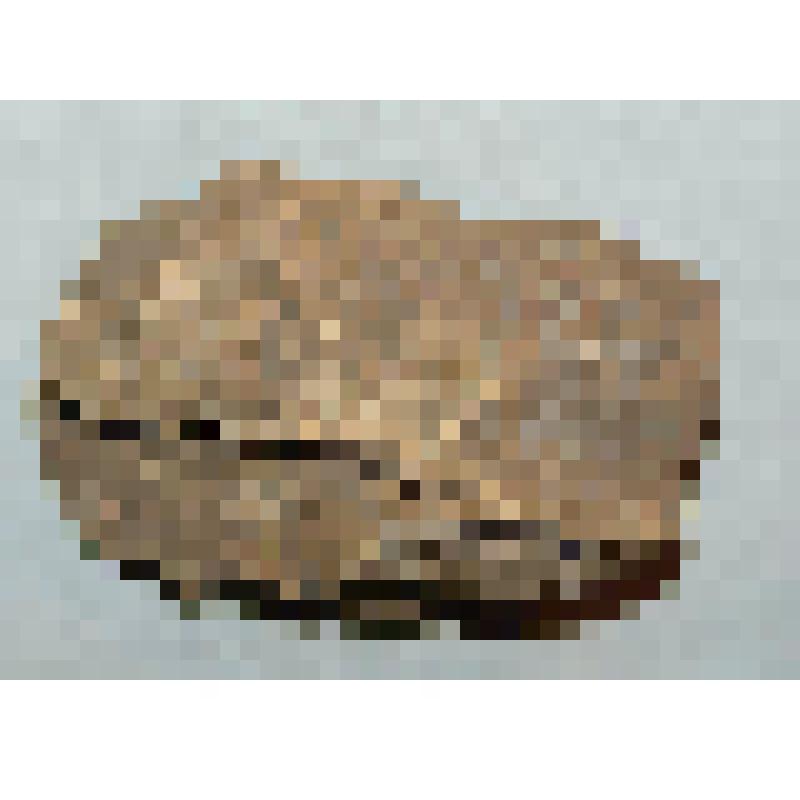 горная порода. Песчаник