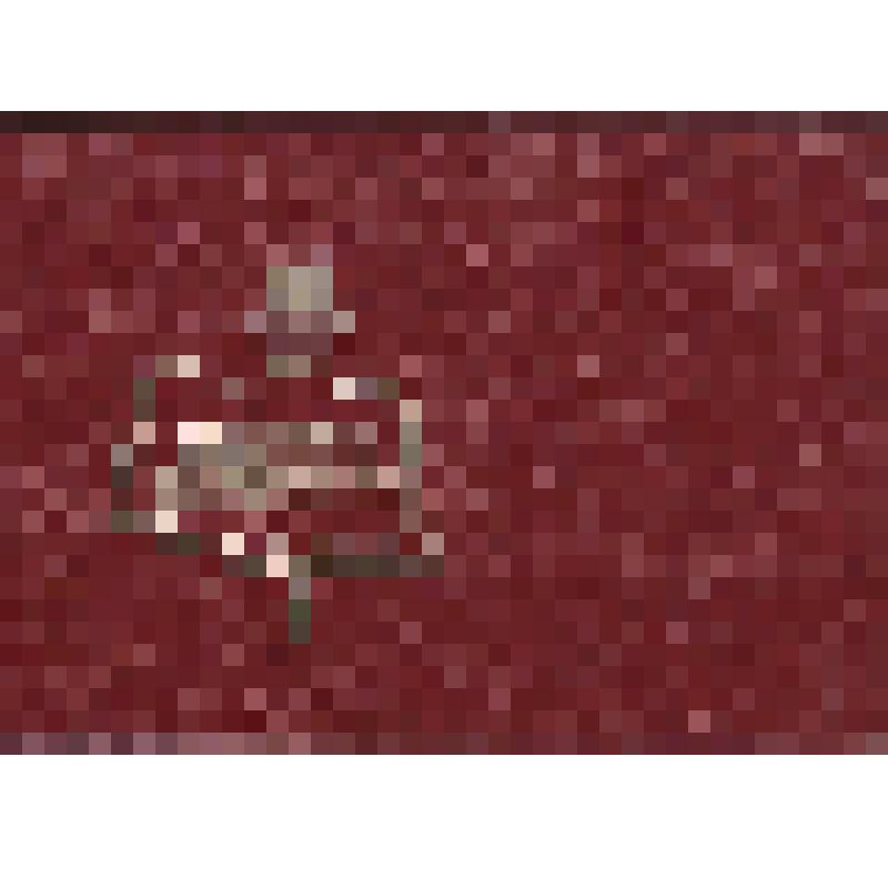 Билет членский №17 Абельдяева Василия Семеновича