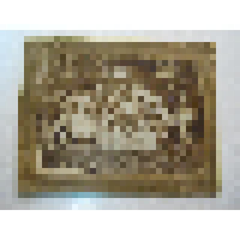 Фотография. совещание учителей Балезинской и Кестымской волостей Глазовского уезда Вятской губернии