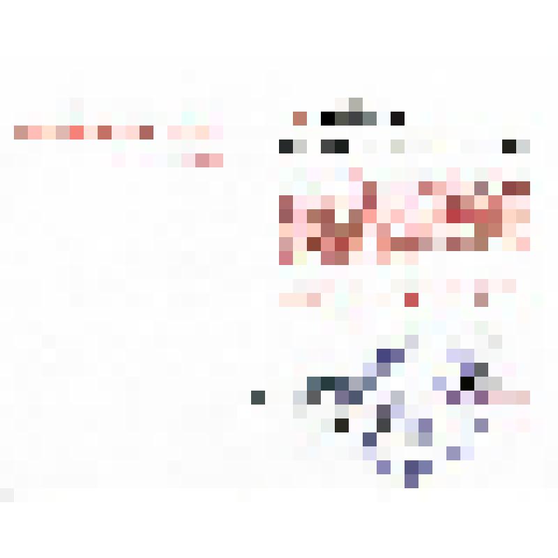 Свидетельство "Мастер - золотые руки" Миляна Н.И