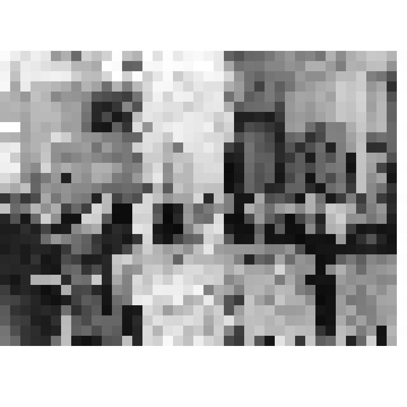 Фотография. Чествование А.А.Белозерова в связи с его 70-летием. Зрительный зал