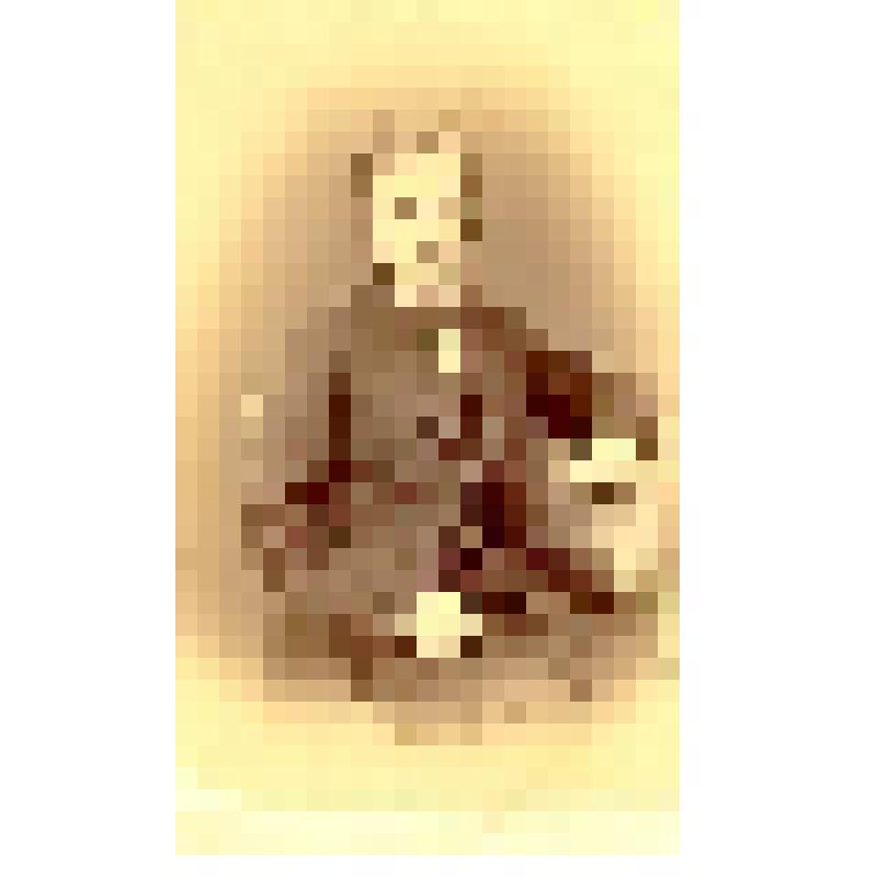 Фотография. Юноша в штатской одежде