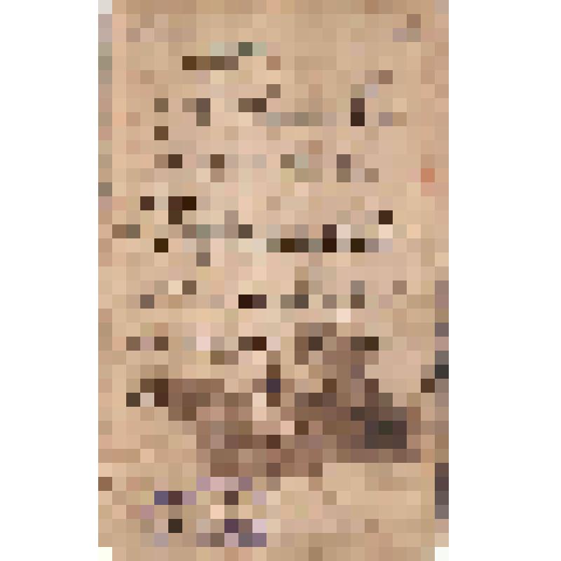 Фото Карпинского П.М. (фото Кокшарову)