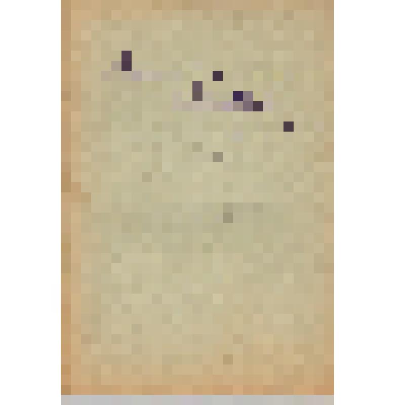 Тетрадь: «Труворовы» древности Изборска