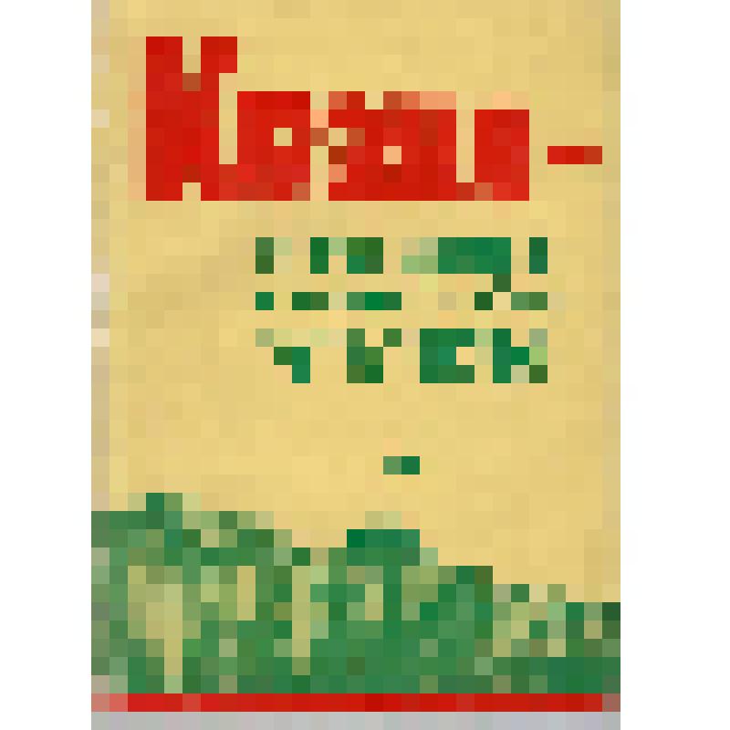 Книга. Кызыл - столица советской Тувы