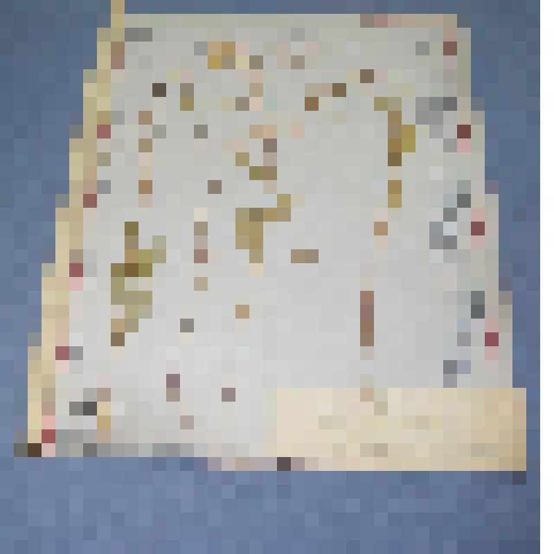 Ботаническая коллекция. Горчица  полевая, семейство крестоцветные, на гербарном листе,  между Абаканом и  колхозом им. Калинино. C. Cruciferae P. Sinares B. arvensis  Z