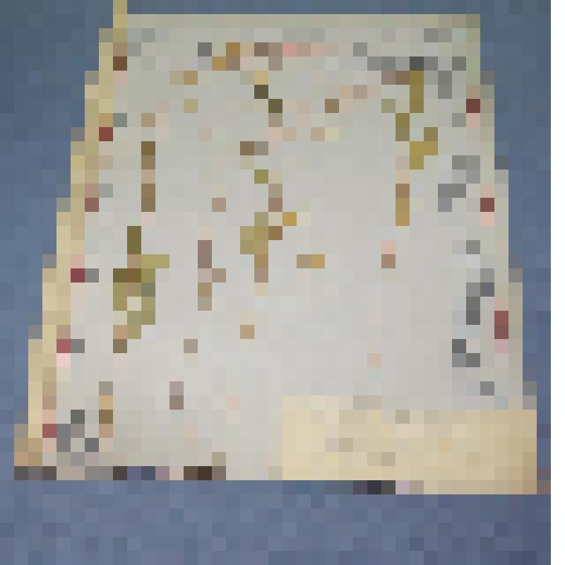 Ботаническая коллекция. Горчица  полевая, семейство крестоцветные, на гербарном листе,  между Абаканом и  колхозом им. Калинино. C. Cruciferae P. Sinares B. arvensis  Z