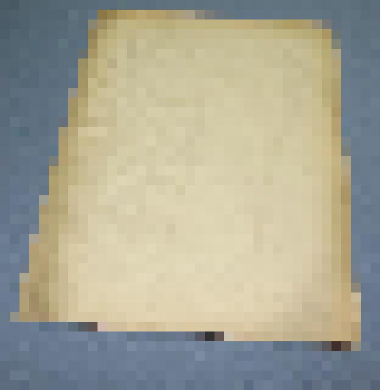 Ботаническая коллекция. Горчица  полевая, семейство крестоцветные, на гербарном листе,  между Абаканом и  колхозом им. Калинино. C. Cruciferae P. Sinares B. arvensis  Z