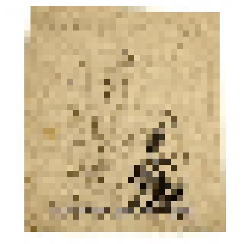 Иконный образец. Богоматерь Тихвинская