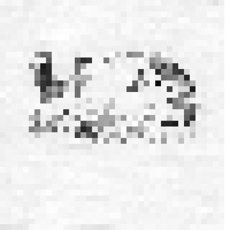 Волк и петух. Иллюстрация. По рис. Г.Никольского и К.Кузнецова