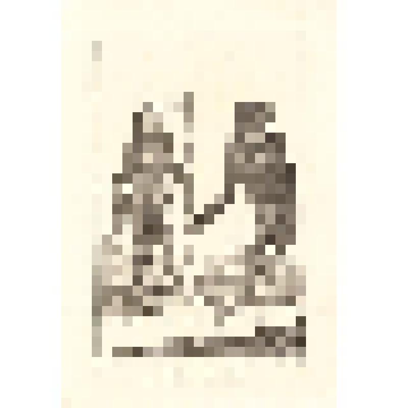 "Histoire Naturelle. Pl. XIX. Fig. 1. Le Jocko. Fig. 2. Le Gibbon." AB sc. Гравюра
