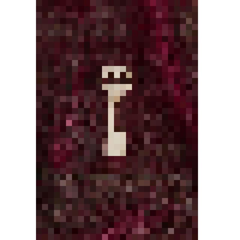 Коробка с костяными бирюльками: ключ