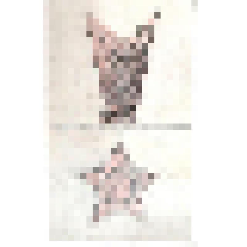 Памятник Победы на Поклонной горе. Сер.1980-х гг. Памятник Победы на Поклонной горе в Москве. Всесоюзный конкурс. Главный монумент. Фасад, план