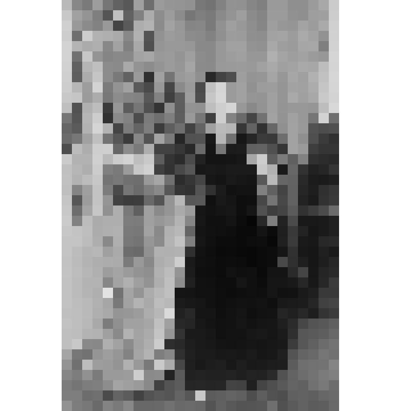 Негатив. Эрдели К.А. - арфистка