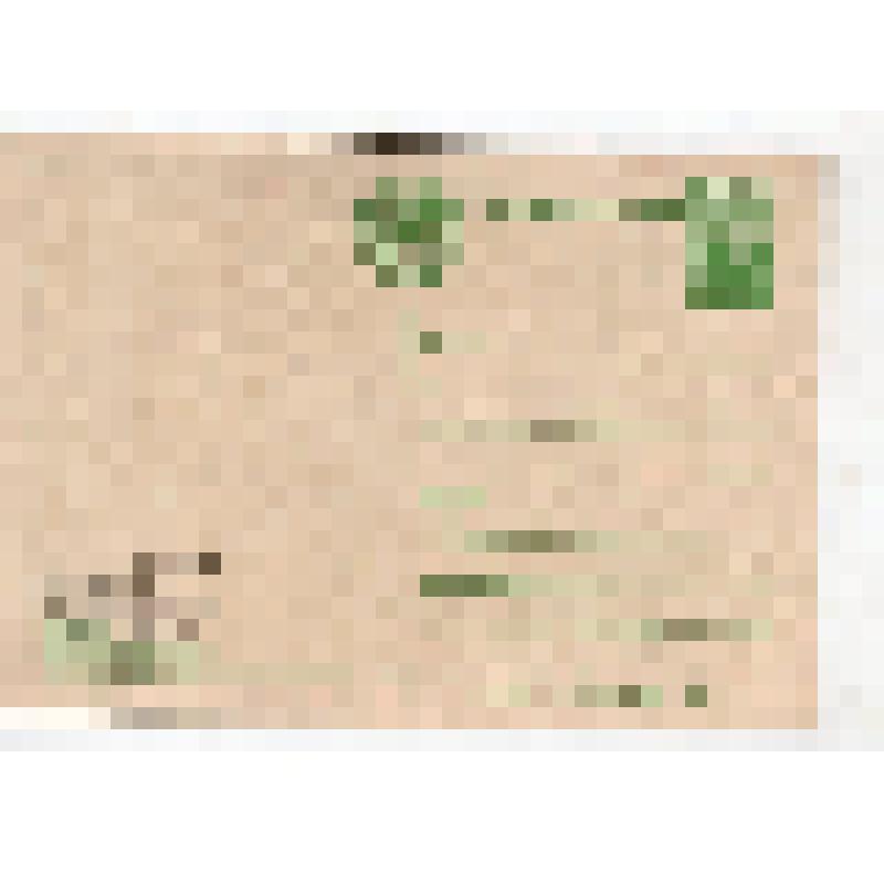 Открытка художественная. "Отличница"