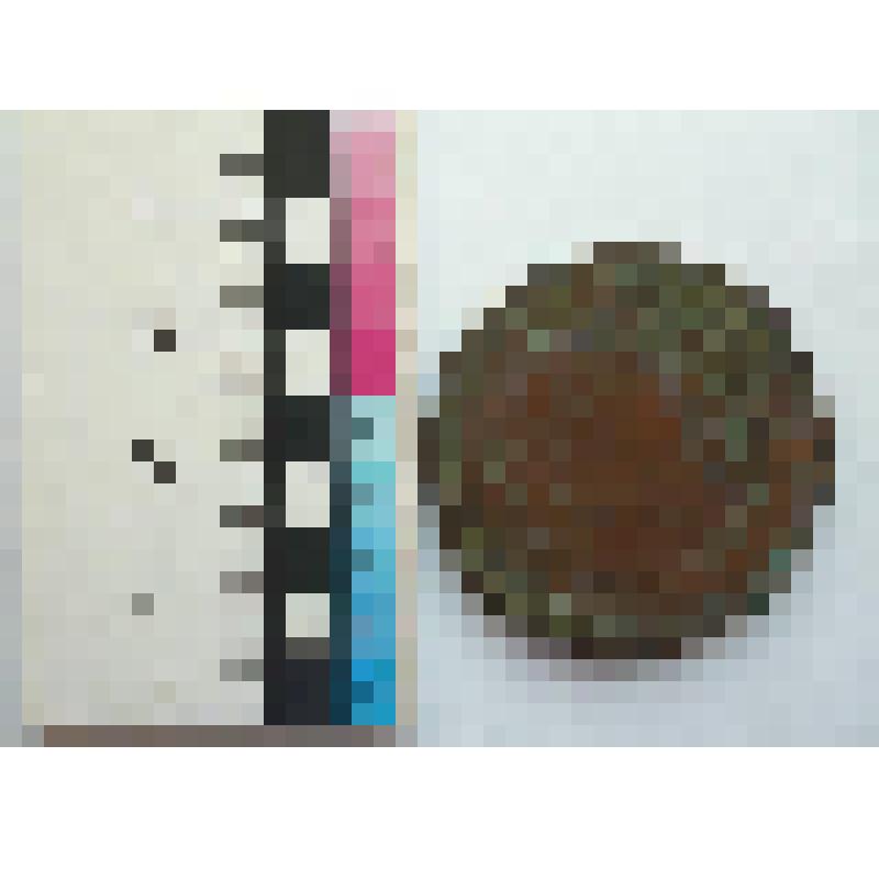 Монета 5 копеек