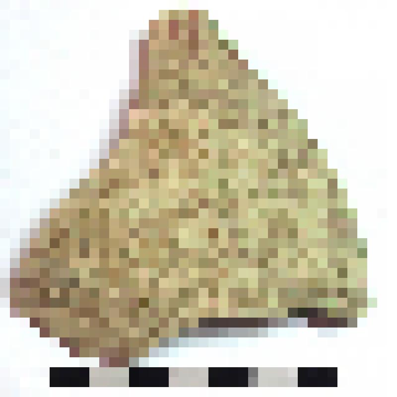 Фрагмент плеча амфоры типа D с дипинти