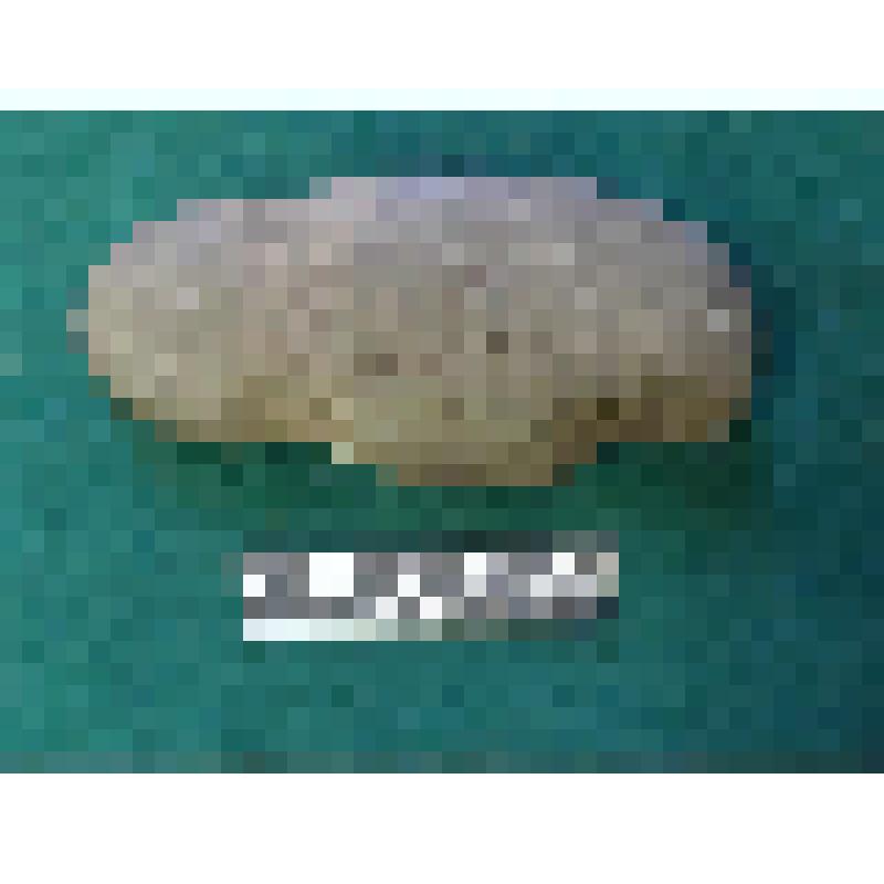 Каменный топор