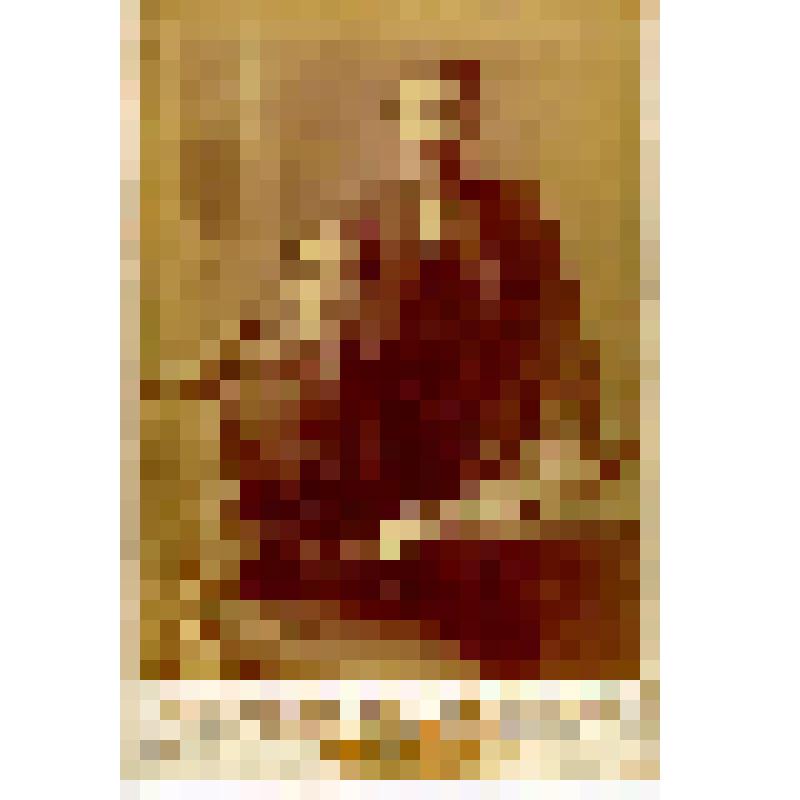 Фотография. Супруги
