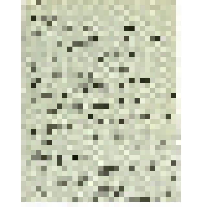 Письмо к С.А. Самосуду с просьбой дать согласие на исполнение отрывков из оперы «Емельян Пугачев» в программе декады «Советской музыки». "Емельян Пугачев"