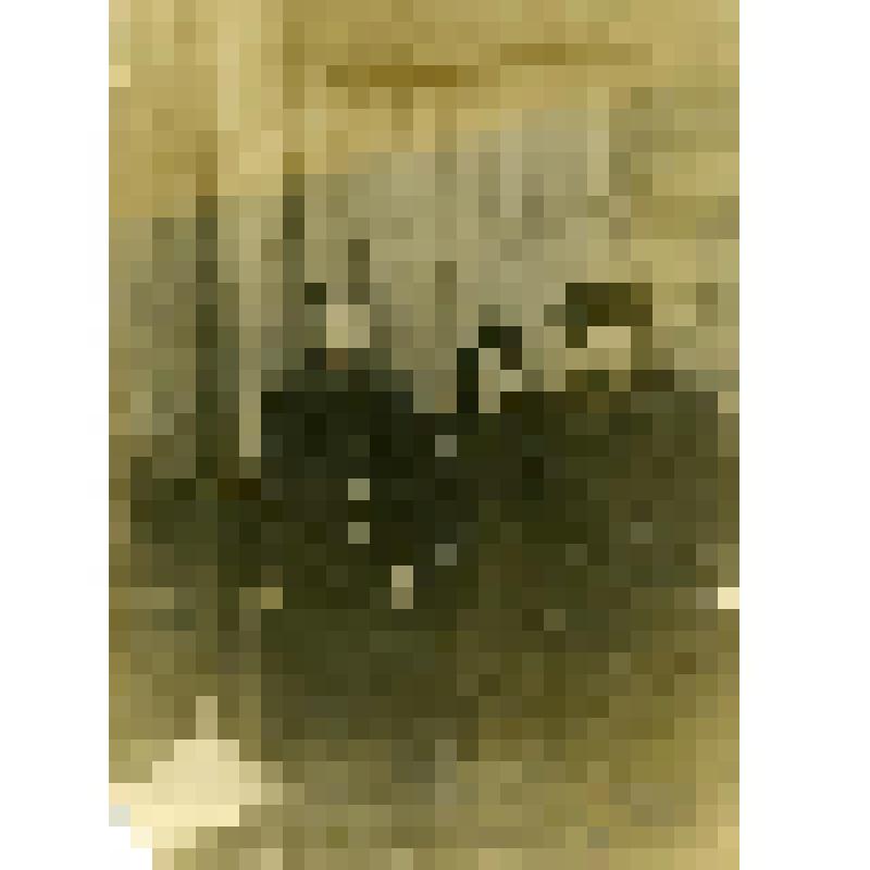 Фотография. Чижовы, жители села Дьяковского