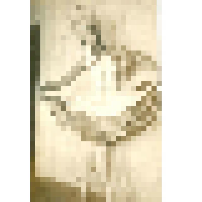 Фотография. Е.Л. Люком в концертном номере 6 позиция, руки придерживают юбочку, на голове шляпка